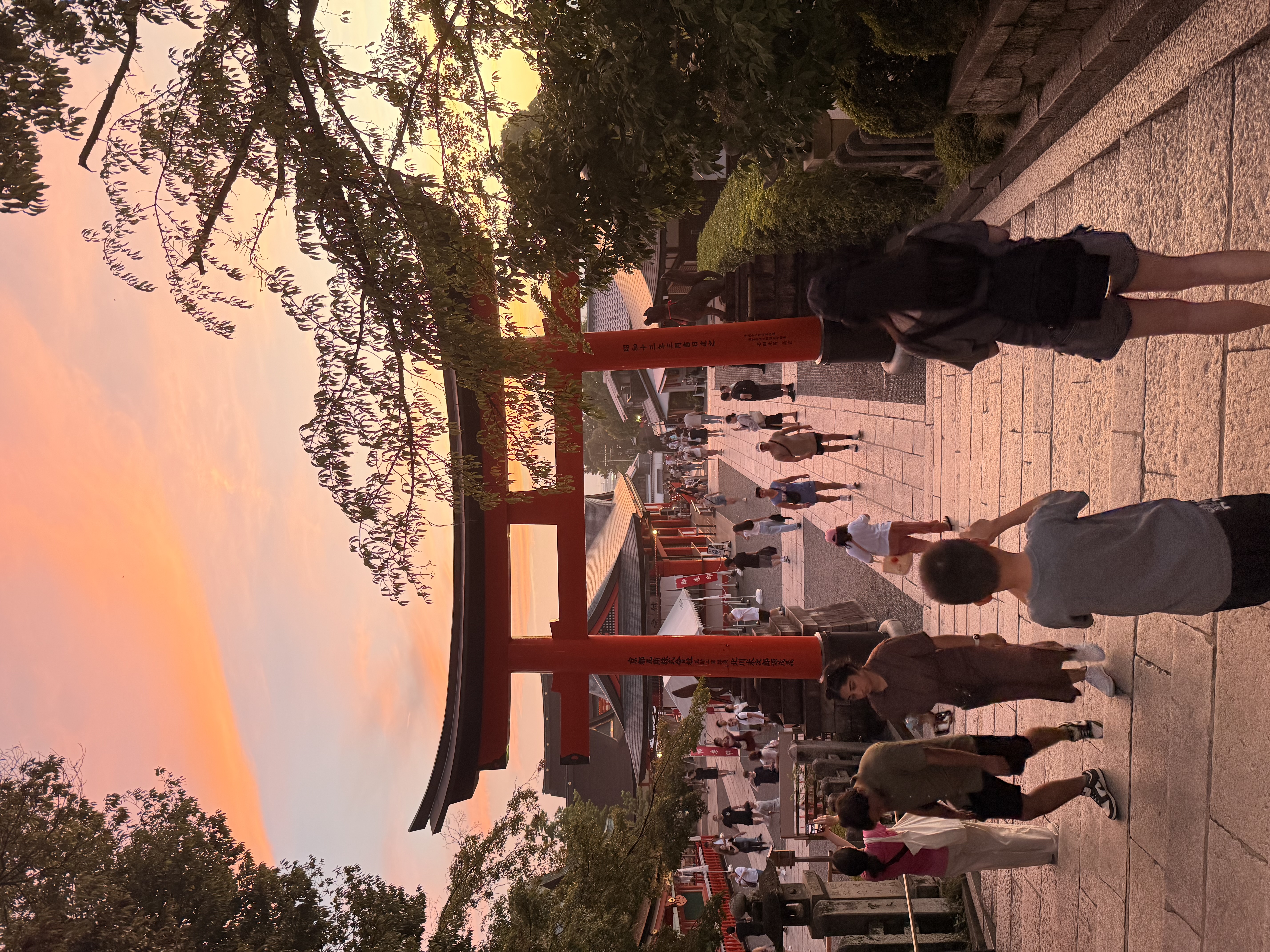 24创新实训01：MNIST手写数据集预测（ML）